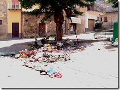 Rifiuti incendiati (1)