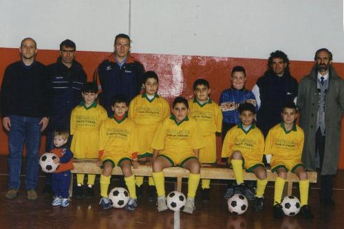 i pulcini dell'avis