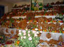 Imgp0570.jpg (95231 byte)