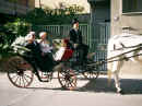 Immagine 023.jpg (177986 byte)