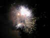 18250025.jpg (102313 byte)