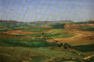 Panorama con vista di Morgantina